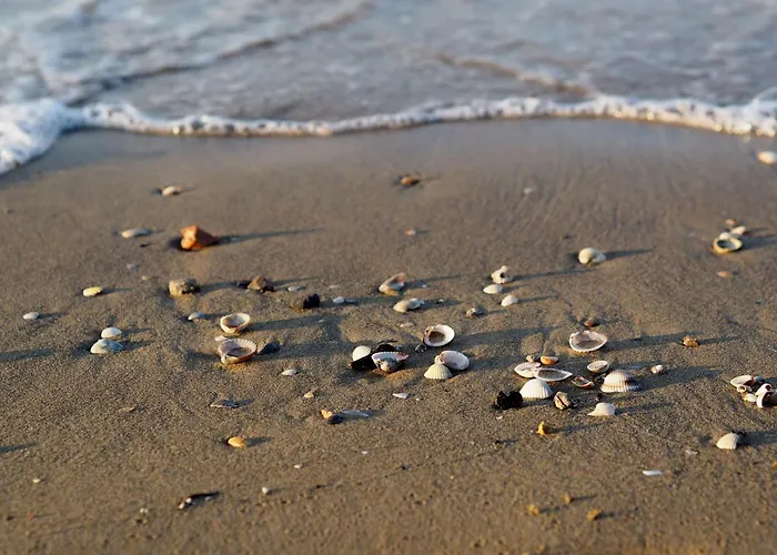 With A Comfortable Sunlit Terrace Apartment Bibione